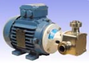 1" P80 'Pureflo' Hygienic Self-Priming Flexible Impeller Motor Pump Unit Complete with to 400v/3 phase/50Hz 960rpm electric motor. AISI 316 stainless steel wetted parts, with food grade neoprene impeller - Jabsco 28320-4105E