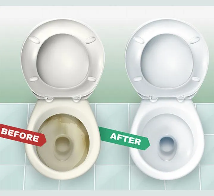 Charmm Toilet Block 9pcs Assorted