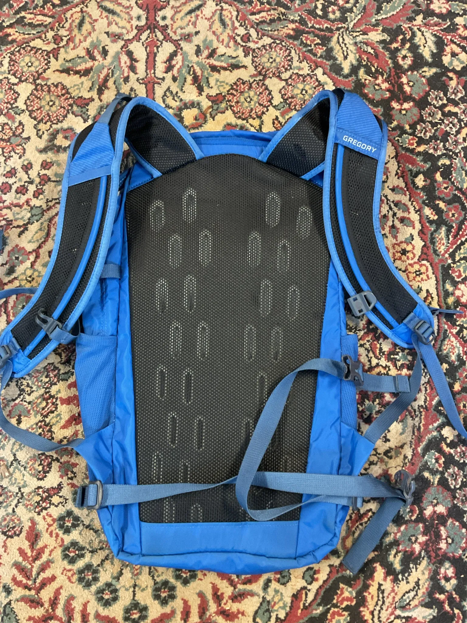 Gregory Inertia 15L h2o Daypack