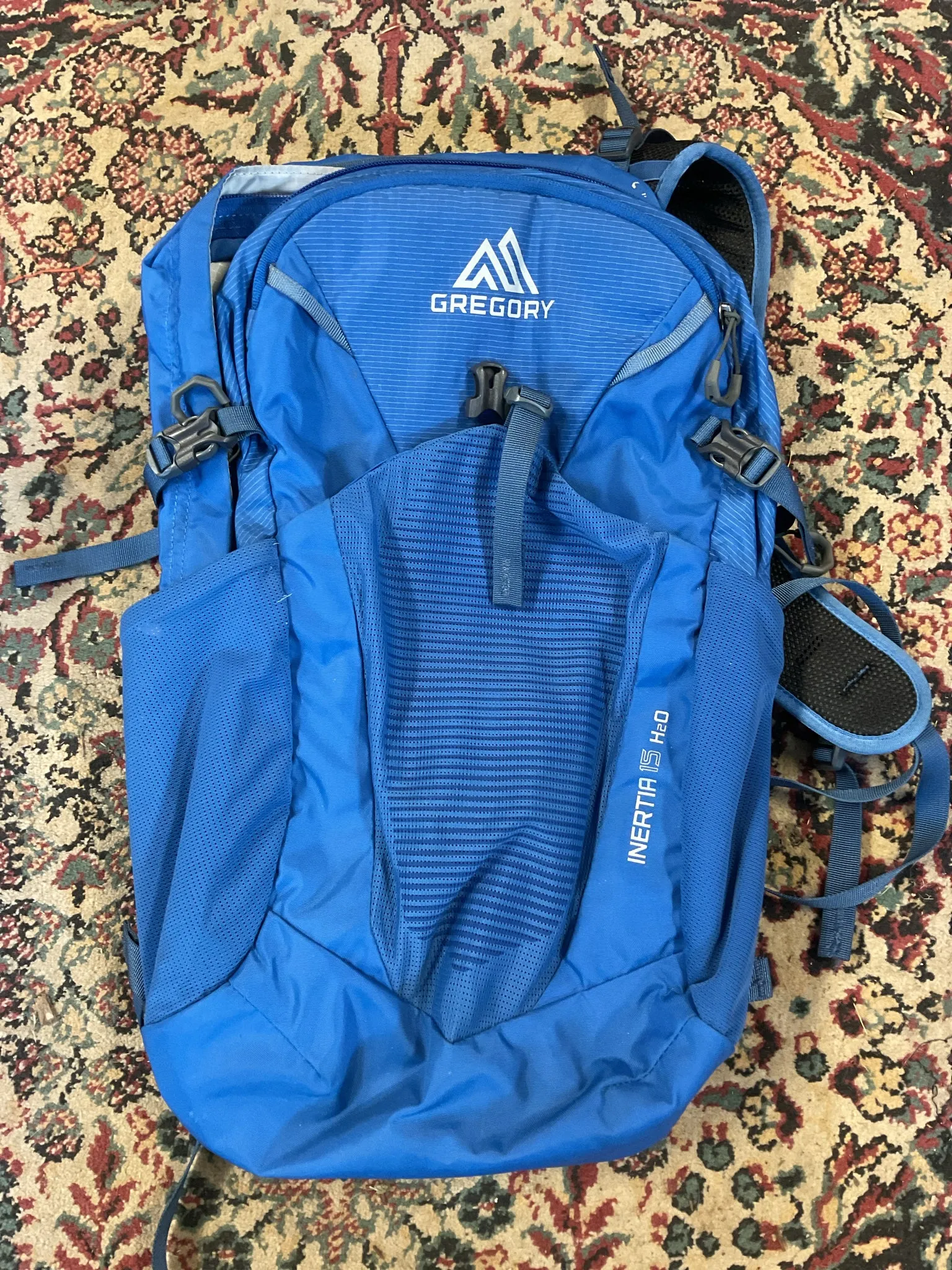Gregory Inertia 15L h2o Daypack