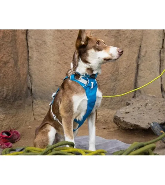 Ruffwear Flagline™ Lightweight & Multi-Use Dog Harness with Handle (Blue Dusk)