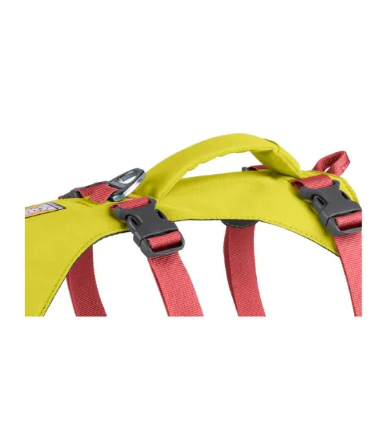Ruffwear Flagline™ Lightweight & Multi-Use Dog Harness with Handle (Lichen Green)